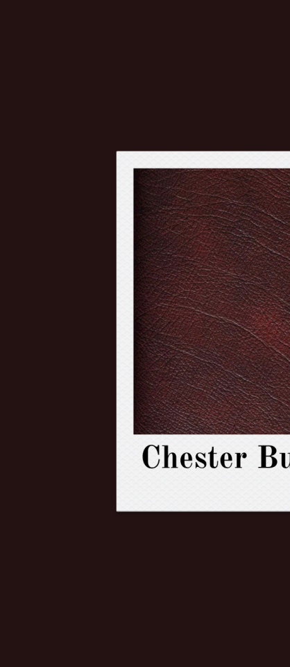 CHESTER BOUNDER